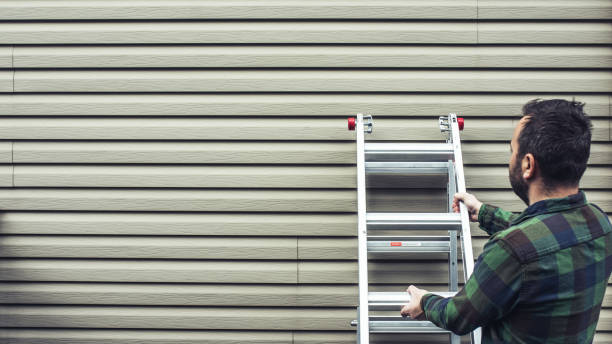 Best Brick Veneer Siding  in French Island, WI